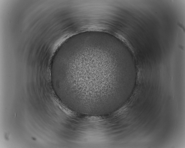 X0000102231027200808081342