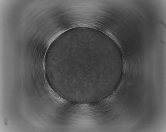 X0000102231028200808081342