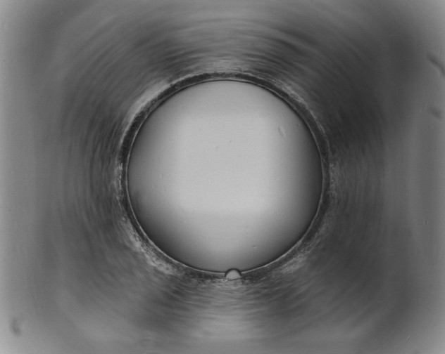 X0000102231029200808081342