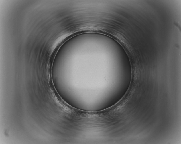 X0000102231030200808081342