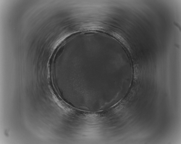 X0000102231031200808081342