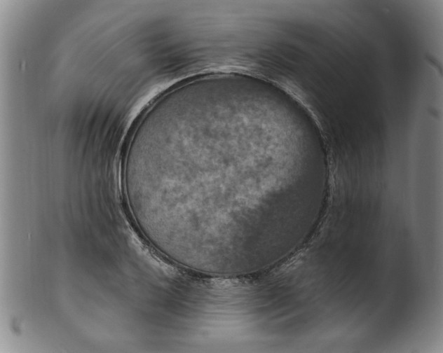 X0000102231032200808081342
