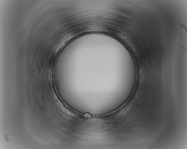 X0000102231033200808081342
