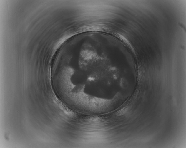 X0000102231035200808081342