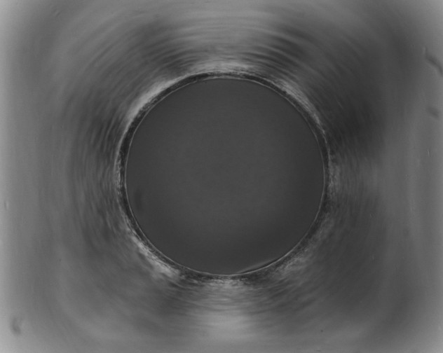 X0000102231037200808081342