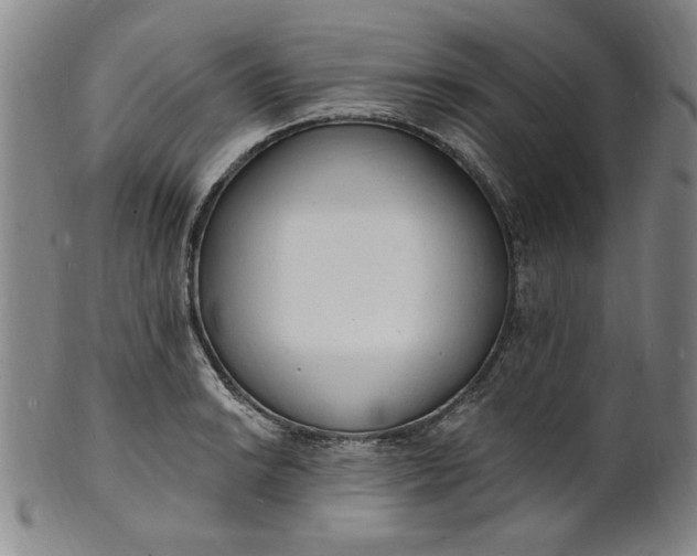 X0000102231038200808081342