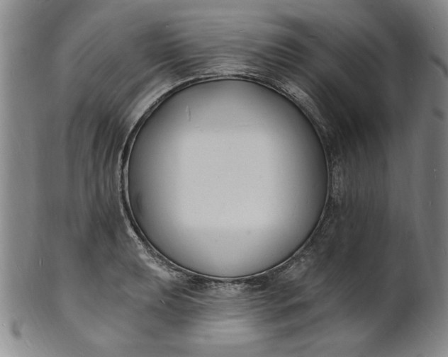 X0000102231039200808081342
