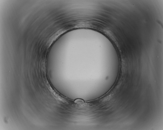 X0000102231041200808081342
