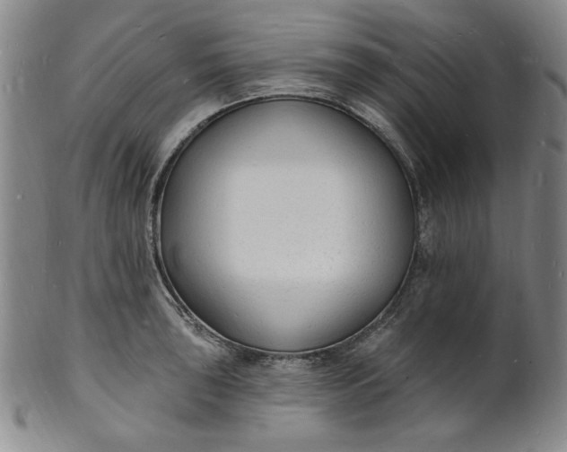 X0000102231043200808081342