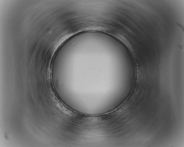 X0000102231044200808081342