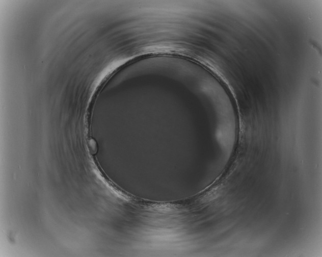 X0000102231045200808081343