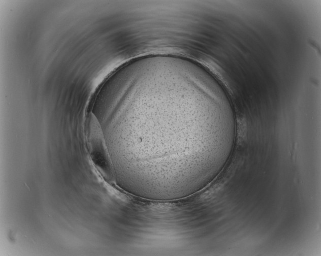 X0000102231046200808081343