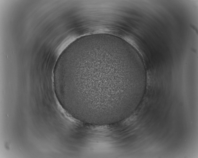 X0000102231047200808081343