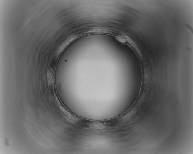 X0000102231049200808081343
