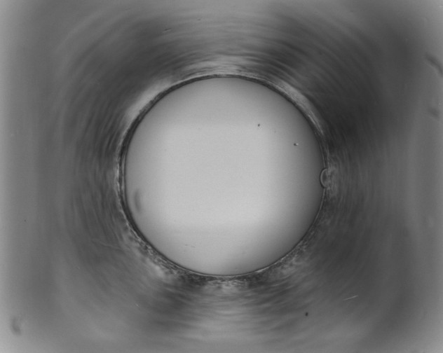 X0000102231051200808081343