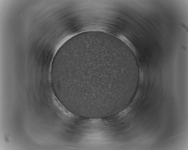 X0000102231052200808081343