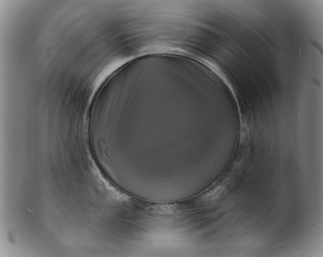 X0000102231053200808081343