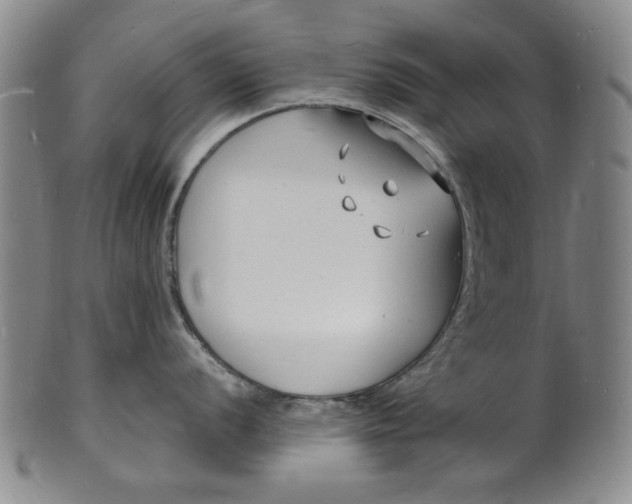 X0000102231056200808081343