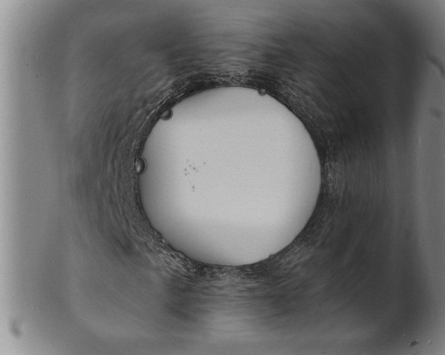X0000102231057200808081342