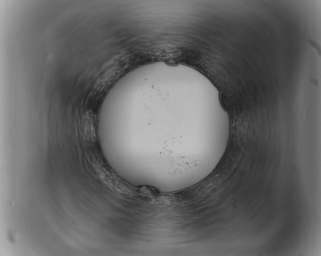 X0000102231058200808081342