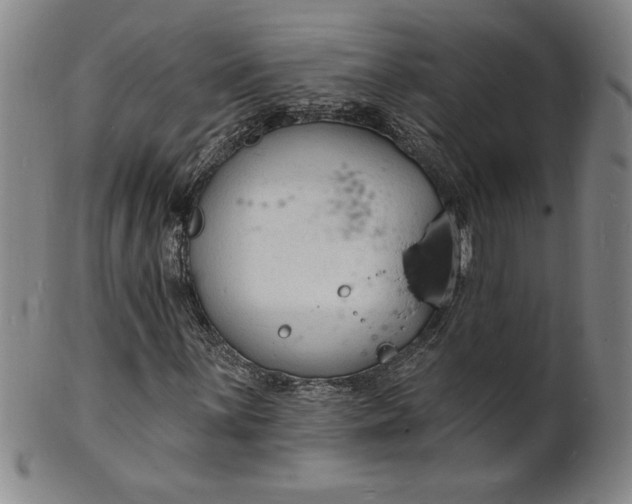 X0000102231059200808081342