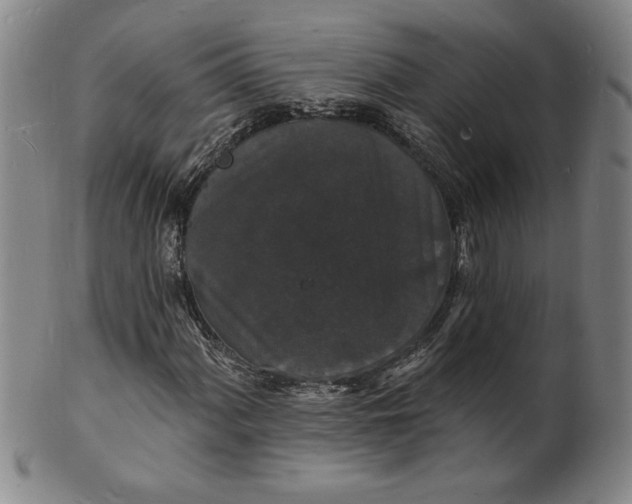 X0000102231060200808081342