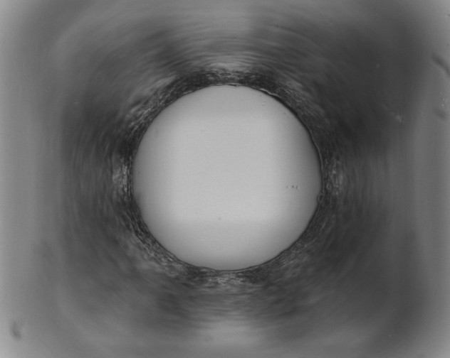 X0000102231061200808081342