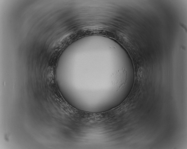 X0000102231062200808081342