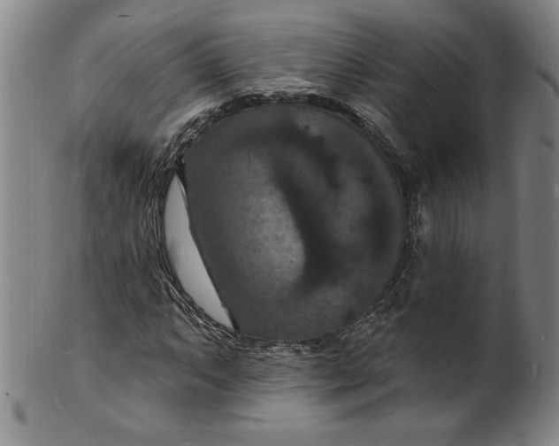 X0000102231063200808081342