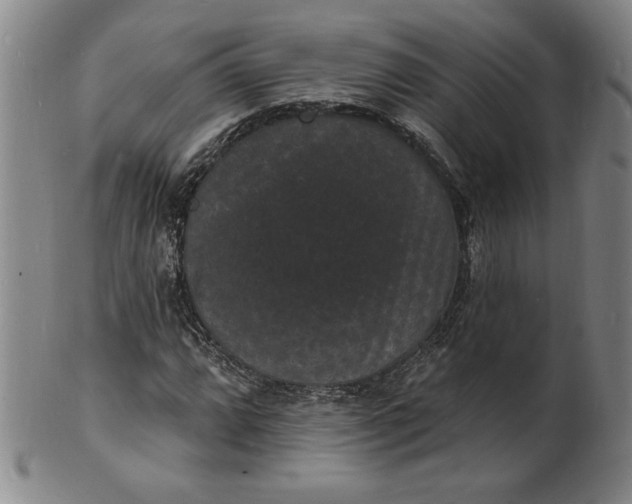 X0000102231064200808081342