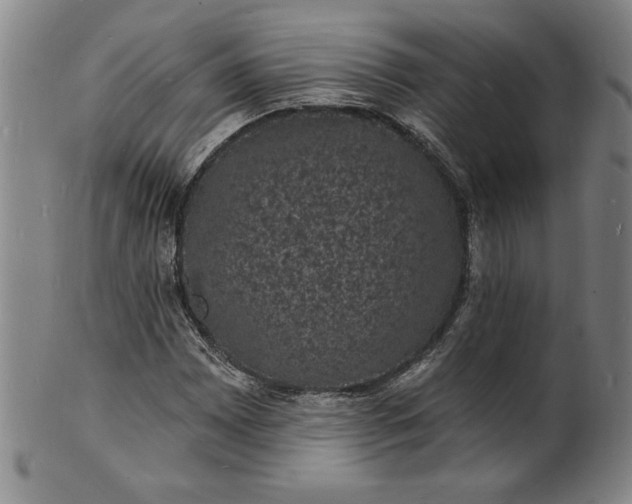X0000102231065200808081342