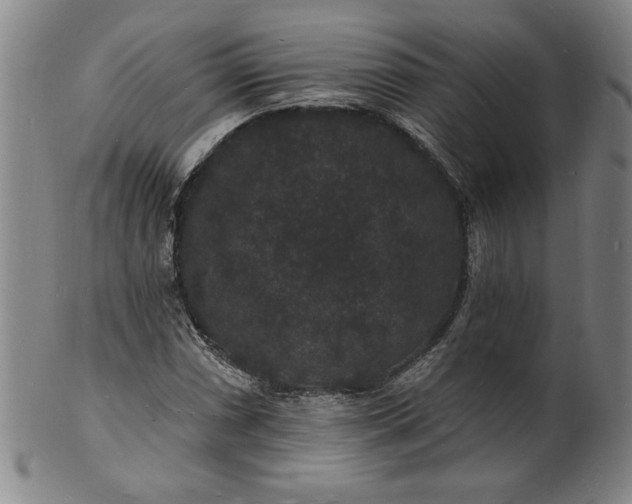 X0000102231066200808081342