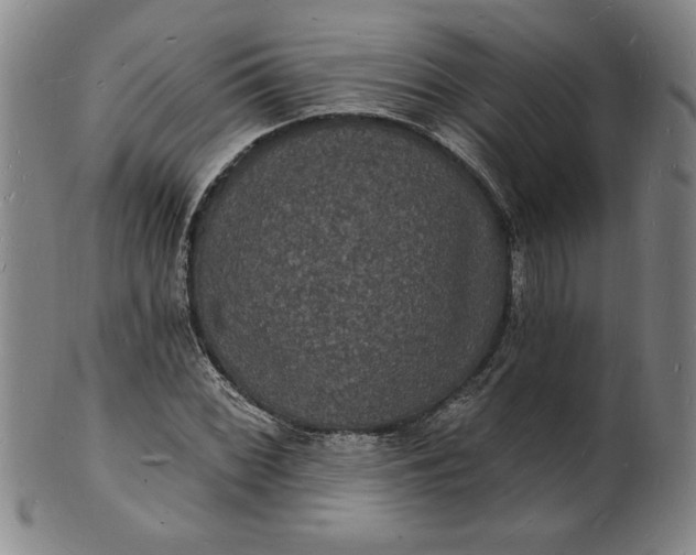 X0000102231068200808081342