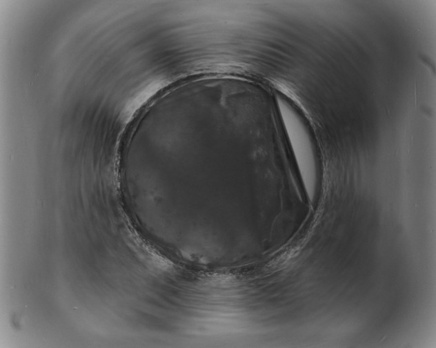 X0000102231071200808081342