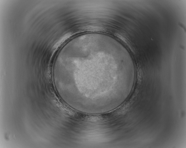 X0000102231074200808081342