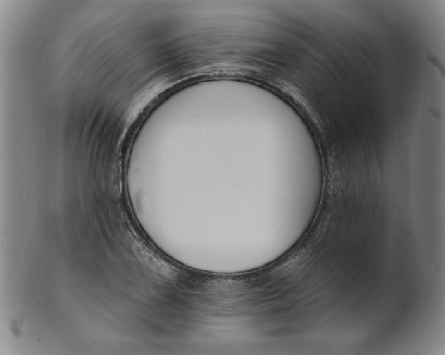 X0000102231075200808081342