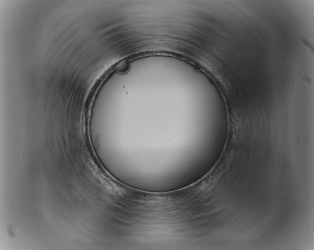 X0000102231076200808081342