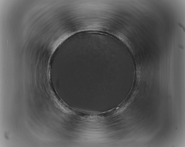 X0000102231077200808081342