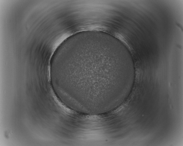 X0000102231079200808081342