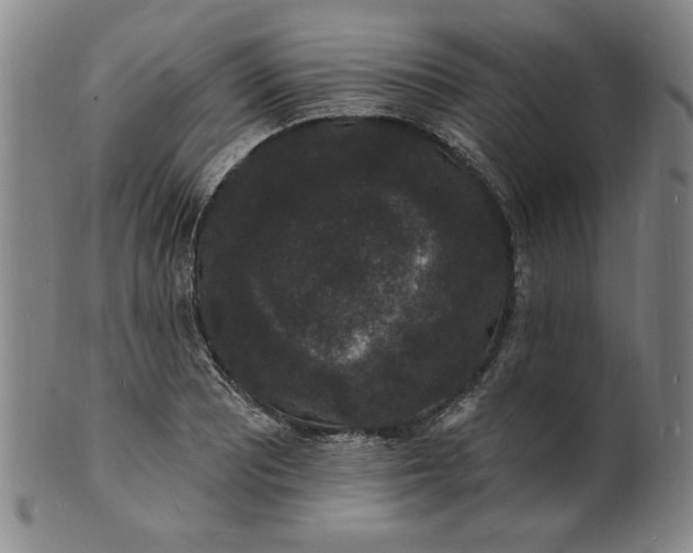 X0000102231081200808081342