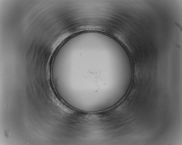 X0000102231082200808081342