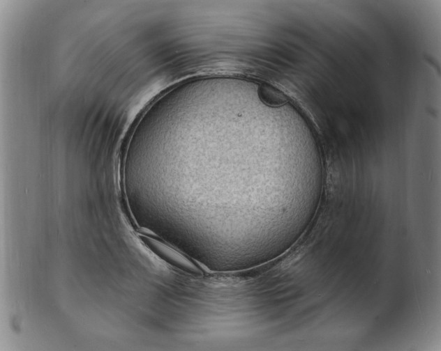 X0000102231083200808081342