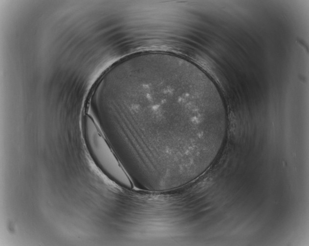 X0000102231084200808081342