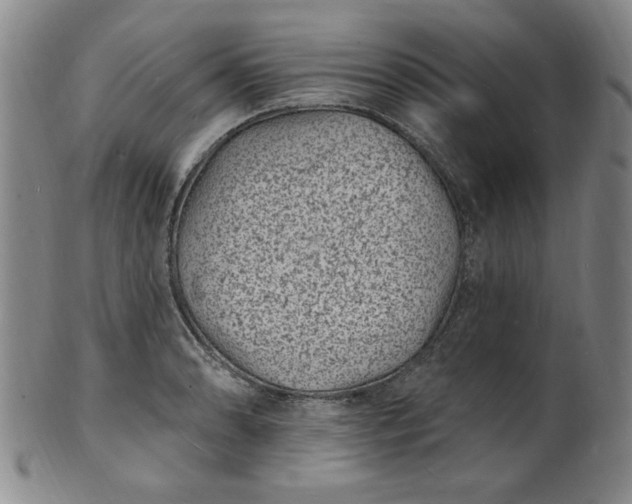 X0000102231086200808081342