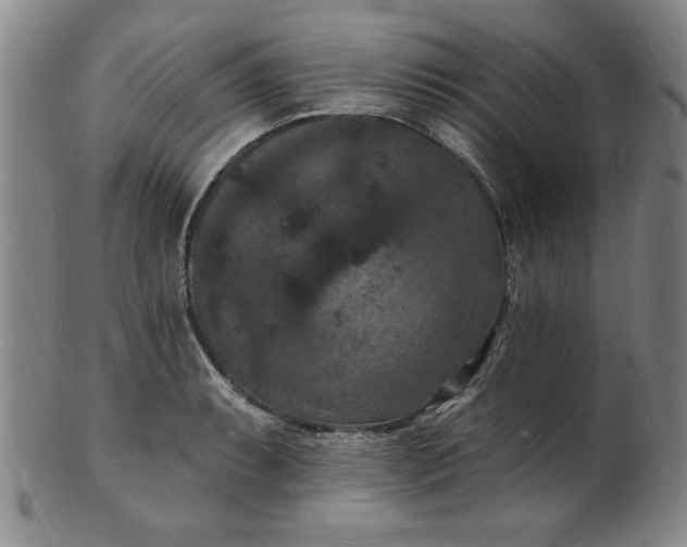 X0000102231087200808081342