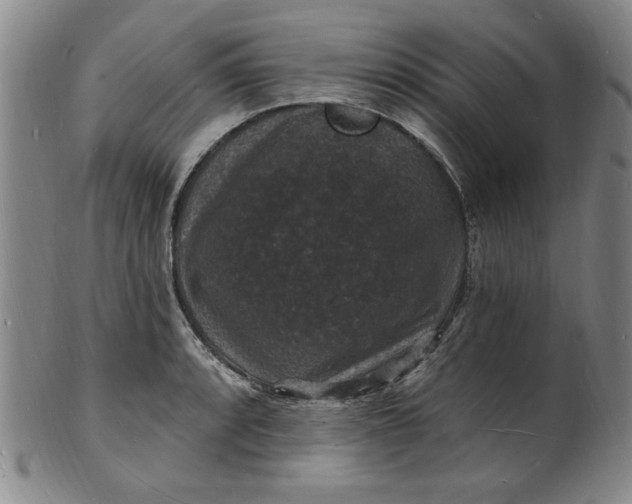 X0000102231088200808081342