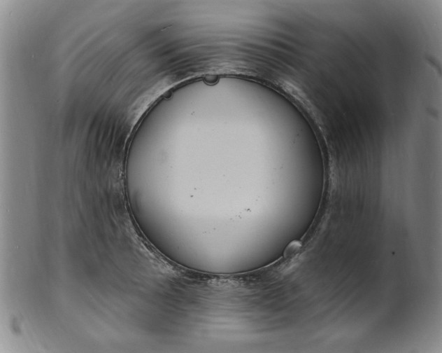 X0000102231089200808081342