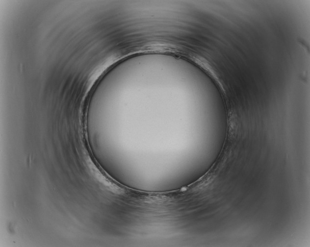X0000102231091200808081342