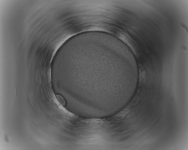 X0000102231092200808081342