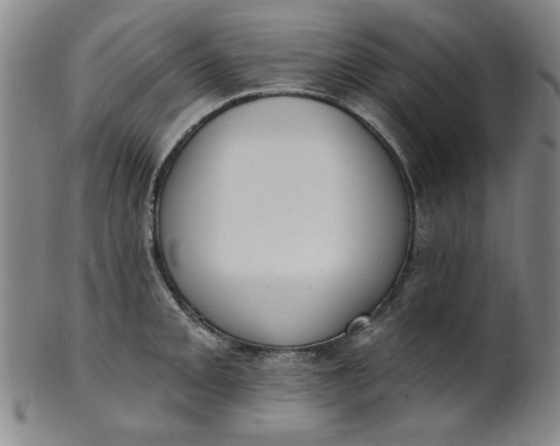 X0000102231093200808081342